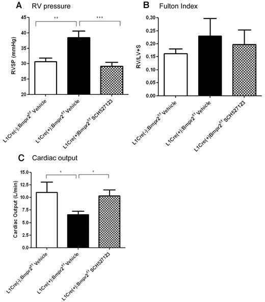 Figure 3. RVSP pressure, Fulton index, and cardiac output in L1Cre(−)BMPR2f/f and L1Cre(+)Bmpr2f/f mice treated with vehicle or SCH527123. L1Cre(−)Bmpr2f/f mice or L1Cre(+)Bmpr2f/f mice were treated with vehicle or the CXCR1/2 antagonist SCH527123 for 21 days after which RVSP levels (A), Fulton indexes (B), and cardiac output (C) were assessed. Data are the mean ± SEM for minimum of 8 animals per group. *P < .05, **P < .01, ***P < .001 compared with L1Cre(+)Bmpr2f/f mice treated with vehicle by Dunnett test.