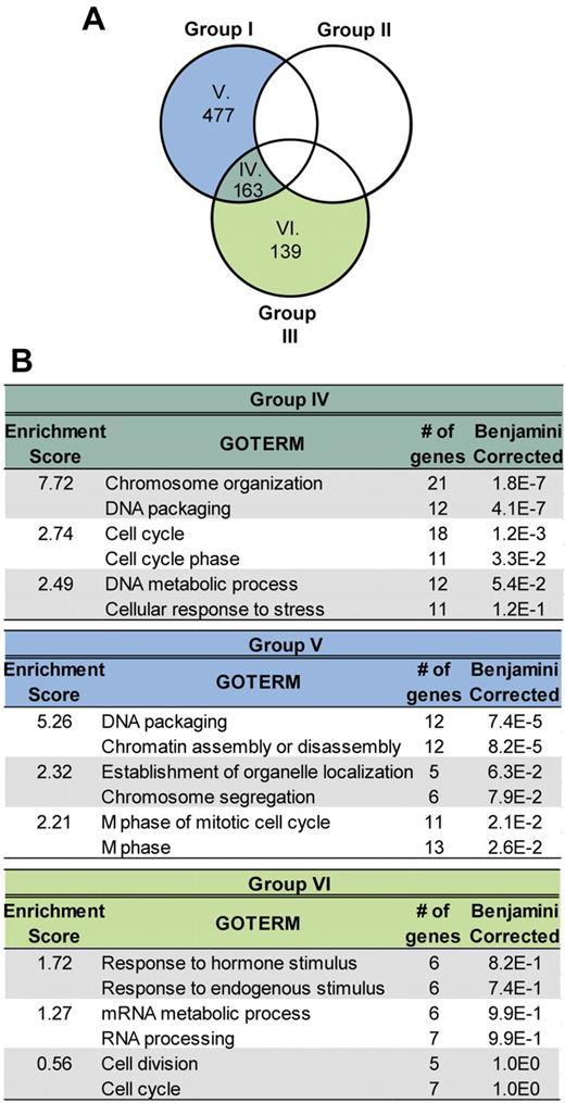 Figure 6. Comparison between datasets representing genes up-regulated in cells expressing Hoxa9 + Meis1 and Hoxa9 + Pknox1-MC. (A) The overlap between genes up-regulated in the Meis1 + Hoxa9 and Pknox1-MC + Hoxa9, but not in the Pknox1 + Hoxa9 cells, compared with the parental Hoxa9 cells is shown by Venn diagram. (B) Enrichment for GO terms associated with various biological processes in the gene datasets defined in A (group IV, V, and VI), was performed as described for Figure 5C.