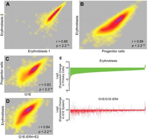 Figure 4. RNA-Seq analysis of transcript levels in primary erythroid progenitor cells and erythroblasts. RNA was extracted from E13.5 fetal liver progenitor cells and erythroblasts, and from G1E cells and G1E-ER4 + E2 cells. The RNA was converted to cDNA followed by massively parallel sequencing (RNA-Seq). (A) A correlation plot comparing the levels of expressed exons in biologic replicates of erythroblast RNA showing a high degree of reproducibility. Each dot represents a gene, and the density of genes showing similar expression changes is represented by the heat map, with purple indicating a greater number of exons and yellow indicating a lower number of exons at each point. (B) A correlation plot comparing the levels of expressed genes in primary erythroblasts and progenitor cells showing distinct transcript profiles in the 2 populations. (C) A correlation plot comparing the levels of expressed genes in G1E cells and primary progenitor cells showing significant similarity in the transcript profiles. (D) A correlation plot comparing the levels of expressed genes in G1E-ER4 + E2 cells and primary erythroblasts showing significant similarity in the transcript profiles. (E) Top panel: An analysis of the changes in the level of genes that are dysregulated in primary erythroblasts compared with progenitor cells (green). The genes are organized from most down-regulated at the left to most up-regulated at the right. Bottom panel: An analysis of the same dysregulated genes in G1E-ER4 + E2 cells compared with G1E cells (red). Approximately 85% of the dysregulated genes change their expression levels in the same direction.