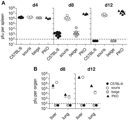 Figure 4. Souris mice are not able to control LCMV infection. Mice were infected with 200 pfu LCMV, and virus titers were determined 4, 8, and 12 days after infection. (A) Splenic virus titers on day 4, day 8, and day 12 after infection. Pooled data for 3 to 5 individual mice per group from 2 independent experiments. (B) Hepatic and pulmonary virus titers on day 8 and day 12 after infection. Graphs represent mean ± SD of 3 to 5 mice per group obtained in 2 independent experiments. The dashed line indicates the detection limit.