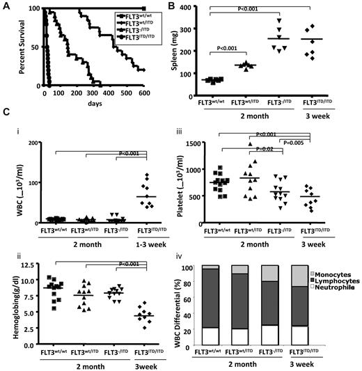 Figure 1. FLT3wt/ITD, FLT3−/ITD, and FLT3ITD/ITD mice develop progressive, fatal MPN. (A) Kaplan-Meier plots (n = 20 for each group). (B) Spleen weights. (C) Peripheral WBC counts (i), hemoglobin (ii), platelet counts (iii), and WBC differential (iv) in 2-month-old FLT3wt/wt, FLT3wt/ITD, FLT3−/ITD, and in 3-week-old FLT3ITD/ITD mice