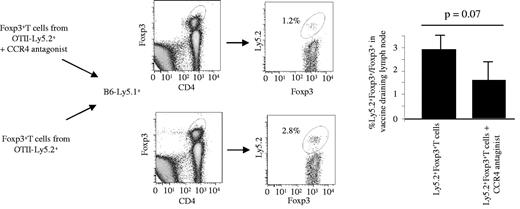 Figure 5. Role of the CCR4 antagonist in migration of Tregs to the vaccine-draining LN. Ten million in vitro–generated Tregs from OTII Ly5.2 mice, alone or mixed with the CCR4 antagonist (2 μg), were administered to Ly5.1 B6 mice and immunized 2 hours previously with STxB-OVA (30μg) and αGalcer (1 μg). Twenty-four hours later, vaccine draining LNs were harvested, and cells were stained with anti-CD4 and anti-Foxp3 mAbs. Cells were than gated on CD4+Foxp3+ cells and stained with anti-Ly5.2 mAb. Isotype controls were included in each experiment. Double-positive Foxp3-Ly5.2 cells correspond to the transferred Tregs. Four mice per group were injected with Tregs with or without the CCR4 antagonist. Experiments shown are representative of 3 series of experiments with similar results. The Mann-Whitney test was used for statistical analysis.