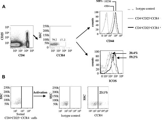 Figure 7. CCR4+ Tregs have hallmarks of activated memory cells. (A) Splenocytes from B6 mice were stained with CD4, CD25, CCR4, CD44, and ICOS mAbs. Expression of CD44 and ICOS was compared among CD4+CD25+CCR4+ and CD4+CD25+CCR4− cells. Isotype controls were included in each experiment. (B) CD4+CD25+CCR4− cells were sorted and activated by anti-CD3 + anti-CD28 mAbs and IL-2 for 36 hours. Expression of CCR4 was then detected on activated cells by flow cytometry. These experiments were reproduced twice.