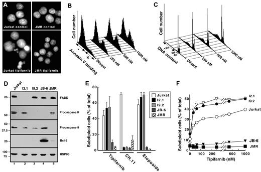 Figure 1. Tipifarnib induces mitochondrial pathway-dependent apoptosis in Jurkat cells. (A-C) Aliquots containing 1 to 2 × 105 Jurkat cells/mL or Jurkat derivatives were incubated for 48 hours with diluent (0.1% DMSO), 1000nM tipifarnib (A; tipibarnib), or the concentration of tipifarnib indicated in panels B and C. At the completion of the incubation, cells were stained with Hoechst 33258 and examined by fluorescence microscopy (A), stained with APC-coupled annexin V and examined for phosphatidylserine externalization (B), or permeabilized with 0.1% Triton X-100 in 0.1% (wt/vol) sodium citrate containing 50 μg/mL propidium iodide and subjected to flow microfluorometry (C). (D) Whole cell lysates were subjected to immunoblotting for the indicated antigens. (E-F) Results obtained when the indicated Jurkat variants were treated for 72 hours with 1000nM tipifarnib, for 6 hours with 25 ng/mL CH.11 agonistic anti-Fas antibody, or for 24 hours with 2μM etoposide (E) or with varying tipifarnib concentrations (F) and analyzed as indicated in panel C. Errors bars in panel E indicate mean ± SD of 3 independent experiments.