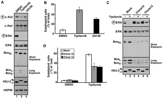 Figure 4. Tipifarnib-induced Bim up-regulation reflects inhibition of MAPK signaling. (A) After Jurkat cells were treated for 72 hours with 800nM tipifarnib or 20μM U0126, in the presence of 5μM Q-VD-OPh, whole cell lysates were subjected to immunoblotting with antibodies that recognize the indicated polypeptides. (B) After Jurkat cells were treated for 72 hours with 800nM tipifarnib or 20μM U0126, samples were stained with propidium iodide and subjected to flow microfluorometry. (C) After Jurkat cells and constitutively active MEK1 clones 10 and 12 were treated for 72 hours with diluent (−) or 800nM tipifarnib (+) in the presence of 5μM Q-VD-OPh, whole cell lysates were subjected to immunoblotting with antibodies that recognize the indicated polypeptides. (D) After the indicated clones were treated for 72 hours with diluent or 800nM tipifarnib, samples were stained with propidium iodide and subjected to flow microfluorometry. Error bars in panels B and D indicate mean ± SD of at least 3 independent experiments.