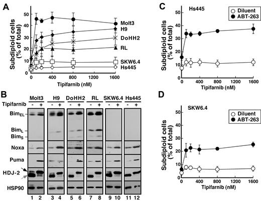 Figure 6. Correlation between tipifarnib-induced Bim up-regulation and apoptosis. (A) After cells were treated for 72 hours with the indicated tipifarnib concentration, samples were stained with propidium iodide and subjected to flow microfluorometry. (B) After cells were treated with diluent (odd lanes) or 800nM tipifarnib (even lanes) in the presence of 5μM Q-VD-OPh, whole cell lysates were subjected to SDS-PAGE followed by immunoblotting with antibodies to the indicated antigen. For each antigen, all lanes were derived from corresponding signals on a single piece of x-ray film but were rearranged for clarity. (C-D) Hs445 (C) or SKW6.4 cells (D) were treated for 72 hours with the indicated tipifarnib concentration in the absence (open circles) or presence (closed circles) of 125nM ABT-263, stained with propidium iodide, and subjected to flow microfluorometry. Error bars in panels A, C, and D indicate mean ± SD of 3 independent experiments.