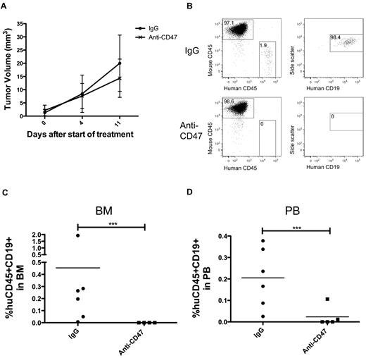 Figure 4. Anti-CD47 antibody inhibits hematogenous dissemination of primary human NHL. (A) NSG mice were transplanted subcutaneously with bulk cells from a primary human DLBCL patient (NHL7, supplemental Table 1). Mice with a palpable mass (3 weeks after transplantation) were treated with daily injections of control IgG or anti-CD47 antibody for 11 days. Anti-CD47 antibody treatment had no effect on decreasing tumor volume compared with control IgG (P = .49, 2-way ANOVA). Data are mean ± SD. The presence of human CD45+CD19+ lymphoma cells in the bone marrow (B-C) and peripheral blood (D) of these mice after treatment (treatment day 11, posttransplantation day 32) was analyzed by flow cytometry. (C-D) Statistical analysis was calculated by Fisher exact test measuring engraftment versus no engraftment. ***P < .0005.