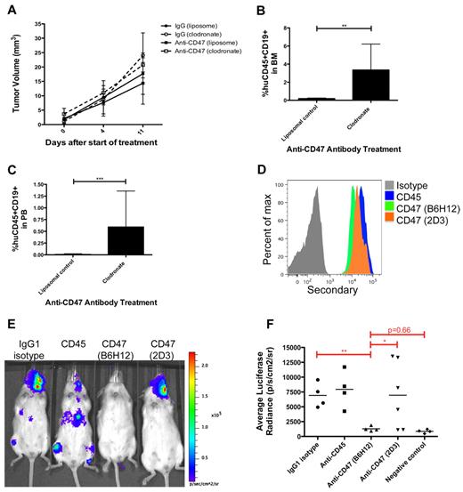 Figure 7. Inhibition of lymphoma dissemination by anti-CD47 antibody requires macrophages and blockade of SIRPα. (A) Subcutaneously engrafted DLBCL mice with palpable flank tumors (3 weeks after transplantation) were treated with control IgG or anti-CD47 antibody for 11 days in the presence of liposomal clodronate or liposomal control. Tumor volume was assessed and indicated that clodronate administration partially abrogated anti-CD47 antibody-mediated reduction in tumor volume compared with control (P = .25). No difference was observed between clodronate and liposomal control administration in control IgG-treated mice (P = .62). In mice treated with liposomal control, anti-CD47 antibody partially reduced tumor volume compared with control IgG treatment, but this difference was not statistically significant (P = .49). Statistical analysis was conducted with a 2-way ANOVA test. (B-C) The presence of lymphoma in the bone marrow (B) and peripheral blood (C) of anti-CD47 antibody-treated mice was assessed in respective treatment cohorts. Lymphoma dissemination to the bone marrow and peripheral blood was observed in anti-CD47 antibody-treated mice receiving clodronate macrophage depletion, but not in controls. Statistical analysis was conducted with Fisher exact test. Each treatment group consisted of 3 or 4 mice. (D) Luciferase-labeled Raji cells were coated ex vivo with the indicated primary antibodies, labeled with a fluorescently conjugated secondary antibody, and analyzed for binding by flow cytometry. (E) Raji cells incubated ex vivo with the indicated antibodies were transplanted intravenously into adult NSG mice. One week later, mice were analyzed by bioluminescent imaging for engraftment, and representative mice are shown. (F) The luciferase signal was determined for a cohort of mice transplanted with ex vivo antibody-coated cells where each point represents a single mouse. Blocking anti-CD47 (B6H12.2) antibody inhibited tumor engraftment compared with the nonblocking anti-CD47 (2D3) antibody and antibody controls. Statistical analysis was conducted with Fisher exact test. Data are mean ± SD. *P < .05. **P < .005. ***P < .0005.