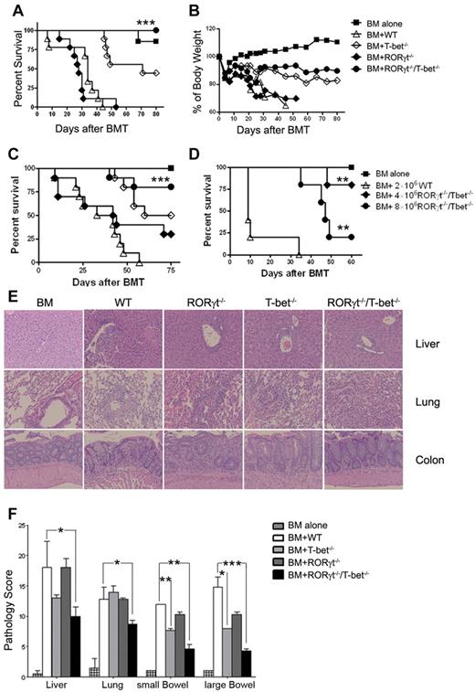 Figure 1. Absence of T-bet and RORγt is sufficient to protect mice from lethal GVHD. Lethally irradiated BALB/c mice (n = 10 per group) were transplanted with 5 × 106 TCD-BM alone or with 2 × 106 purified T cells from WT, T-bet−/−, RORγt−/−, or RORγt−/−/T-bet−/− mice. Overall survival (A) and the percentage of original body weight over time (B) are depicted. Data are shown from 2 replicate experiments combined. (C) Lethally irradiated BALB/c mice (n = 11 per group) were transplanted with 5 × 106 TCD-BM alone or with 1 × 106 purified T reg-depleted T cells from WT, T-bet−/−, RORγt−/−, or RORγt−/−/T-bet−/− mice. Survival data are shown from 2 replicate experiments combined. (D) Lethally irradiated BALB/c mice (n = 6 per group) were transplanted with 5 × 106 TCD-BM alone or plus total T cells at the doses indicated from WT or RORγt−/−/T-bet−/− mice. Survival is shown from 1 experiment with 5 recipients in each group. (E) H&E staining of colon, liver, and lung sections of recipients 20 to 25 days after HCT. (F) Pathologic score mean ± SE indicates the damage in small intestine, colon, liver, and lung using a semi-quantitative scoring system. Data are shown from 2 replicate experiments combined. Asterisk indicates statistical significance between WT and RORγt−/−/T-bet−/− groups: *P < .05; **P < .01; ***P < .001.