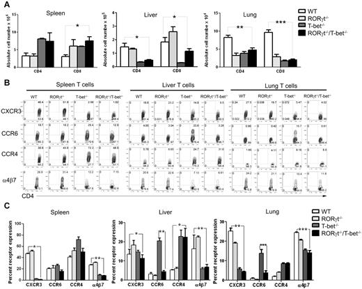 Figure 4. Absence of RORγt/T-bet of donor T cells is associated with a distinct pattern of chemokine expression. (A) The absolute number of H-2b+CD4+ T and H-2b+CD8+ T cells in spleen, liver, and lung of recipients given WT, T-bet−/−, RORγt−/−, or RORγt−/−/T-bet−/− T cells donor cells 14 days after HCT. Mean ± SE is shown (n = 9), and data are from combined 3 replicate experiments. (B) Five days after BMT, splenocytes from recipients were stained for H-2Kb, CD4, and chemokine receptors. Gated H-2Kb+CD4+ T cells are shown in CD4 versus chemokine receptors. The expression profile of chemokine receptors on CD8+ T cells was similar to that of CD4+ T cells (data not shown). (C) Summary of the expression of chemokine receptors on CD4+ T cells. Representative 1 of 3 replicate experiments is shown. Asterisk indicates statistical significance: *P < .05; **P < .01; ***P < .001.