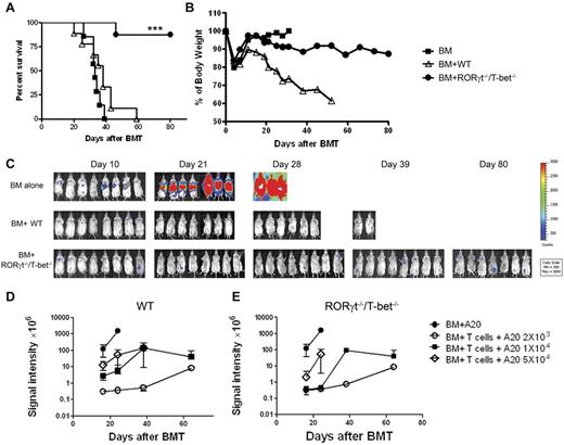 Figure 5. GVL activity is largely preserved in RORγt−/−/T-bet−/− T cells. Lethally irradiated BALB/c mice received TCD-BM cells alone or plus 2 × 106 naive T cells from WT or RORγt−/−/T-bet−/− donors. Recipients were given 2 × 103 A20 tumor cells with luciferase transgene at the same time of transplantation. Recipient survival (A) and body weight changes (B) are shown. (C) Tumor growth in recipients was monitored with in vivo bioluminescent imaging. Data shown were combined from 2 replicate experiments with 8 mice in each group. (D-E) Lethally irradiated BALB/c mice received TCD-BM cells alone or plus 5 × 105 naive T cells from WT or RORγt−/−/T-bet−/− donors. Recipients were given 2 × 103, 1 × 104 or 5 × 104 A20 tumor cells with luciferase transgene at the same time of transplantation. The summary of BLI signal intensity in WT (D) or RORγt−/−/T-bet−/− (E) recipients are shown at multiple time points after BMT. Six recipients were included in all the groups, except 5 in the TCD-BM alone group. Asterisk indicates statistical significance between WT and RORγt−/−/T-bet−/− recipients; ***P < .001.