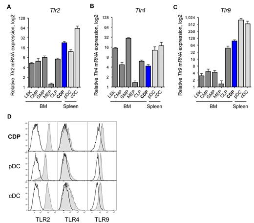 Figure 1. CDPs express TLR2, TLR4, and TLR9. The relative mRNA expression of Tlr2 (A), Tlr4 (B), and Tlr9 (C) is shown for progenitor populations (dark gray) and CDPs (blue) sorted from steady-state mouse BM, and pDCs and cDCs from the spleen (light gray). Progenitors included LSK cells containing stem cells and multipotent progenitors, CMP,46 GMP, MEP, and CLP.47 Populations were isolated by FACS, mRNA expression was determined by quantitative real-time PCR, and levels were normalized to Rn18s. Results on mRNA show means and SEM of 4 independent experiments, including independent cell sorts and real-time PCR runs, and they are plotted on a bilogarithmic scale (log 2). Histograms show surface TLR2 and TLR4 protein expression, and intracellular expression of TLR9 (gray filled histograms), overlaid with isotype-matched control stains (black line) of BM CDPs and spleen pDCs and cDCs (D). The data show 1 representative experiment of 3 independent experiments.