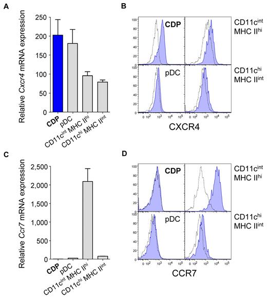 Figure 2. CDPs express CXCR4 but no detectable levels of CCR7. The expression of the chemokine receptors Cxcr4 (A-B) and Ccr7 (C-D) was determined for CDPs that were isolated by FACS from steady-state BM and for indicated DCs from subcutaneous LNs. Bar graphs show Cxcr4 (A) and Ccr7 (C) mRNA expression of CDPs (blue), pDCs, CD11cint MHC IIhi DCs, and CD11chi MHC IIint DCs (gray). mRNA expression was assessed by quantitative real-time PCR and normalized to Rn18s. Histogram overlays show surface protein expression of CXCR4 (B) and CCR7 (D) evaluated by flow cytometry. Specific antibody stains are shown in filled blue histograms, and isotype-matched controls are shown in dotted lines. Bar graphs show means and SEM of 3 independent experiments, including independent cell sorts and real-time PCR runs (A,C), and histograms show 1 representative experiment (B,D) of 3 independent experiments.