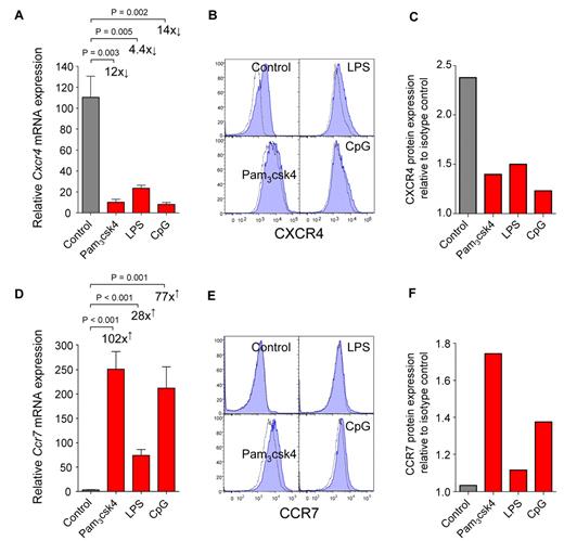 Figure 3. CDPs down-regulate CXCR4 and up-regulate CCR7 on TLR stimulation in vitro. FACS-isolated CDPs were cultured in cytokines alone (control) or stimulated by adding the TLR agonists Pam3csk4, LPS, or CpG. Twelve hours later, mRNA was isolated, and chemokine receptor expression was assessed by quantitative real-time PCR and normalized to Rn18s. Bar graphs show relative expression of mRNA for Cxcr4 (A) and Ccr7 (D) in cultures with cytokines alone (gray) or after addition of TLR agonists (red). Surface protein expression was determined by flow cytometry after 21 hours. Histograms show protein surface expression (blue filled) of CXCR4 (B) and CCR7 (E), overlaid with isotype-matched controls (dotted lines). The relative quantification of protein expression as a ratio between the mean fluorescence intensity of the specific antibody stain and isotype-matched controls is shown for CXCR4 (C) and CCR7 (F). mRNA expression is shown as means and SEM of 4 (A) or 5 (D) independent experiments, including independent cell sorts, cultures, and real-time PCR runs. The fold-changed mRNA expression and the level of statistical significant difference between stimulated cells and control cultures is indicated on the graphs. The histogram overlays (B,E) and the quantification of changes in protein expression (C,F) are shown as 1 representative experiment of 2 independent experiments.