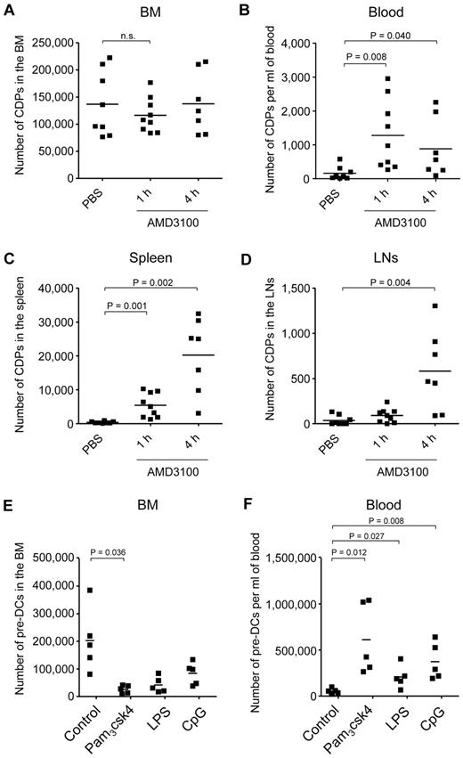 Figure 5. DC progenitor mobilization from the BM. CXCR4 antagonist AMD3100 or PBS were injected subcutaneously. The absolute number of CDPs was assessed by flow cytometry, 1 hour after injection of PBS, and 1 and 4 hours after injection of AMD3100. The results for BM (A; n.s. indicates not significant), blood (B), spleen (C), and subcutaneous LNs (D) of 6 independent experiments using a total of 7 to 9 mice (1 filled square per mouse) per condition are shown. CDPs were gated as Lin− c-kitint Flt3+ M-CSFR+ IL7Rα− CD11c− MHC II−. Mean values are depicted (horizontal lines), and where significant, the levels of significant difference between PBS-injected controls and AMD3100-injected animals are indicated. TLR agonists were injected intravenously, and the numbers of Lin(*)− CD11c+ MHC II− cells, corresponding to pre-DCs, were assessed by flow cytometry after 12 hours in the BM (E) and blood (F). The total number of pre-DCs is indicated for each individual animal. The data from 2 independent experiments using a total of 5 mice per condition are shown. Mean values are depicted (horizontal lines), and where significant, the levels of significant difference between PBS- and TLR agonist-injected animals are indicated.