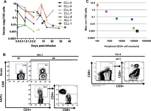 Figure 6. In vivo persistence of modified T cells. (A) Persistence of 19-28z+ T cells after infusion in the peripheral blood. CD3+ T cells derived from the peripheral blood samples of patients with CLL and ALL at various time points after infusion were activated with Dynabeads. Quantitative PCR analysis was performed, and the average vector copy number (vcn) was determined per 100 cells. The average vcn was below the limit of detection for CLL-2 and CLL-3 patient samples at all available data points and, therefore, are not represented. Samples for ALL-1 were not available on day 0 (at 1 hour after infusion). (B) Expression of 19-28z+ CAR after infusion after restimulation with either AAPCs or Dynabeads. CD3+ T cells derived from ALL-1 peripheral blood 2 days (d2) and 8 days (d8) after infusion were selected and activated with either Dynabeads (top) or AAPCs (bottom). CD3+ T cells derived from CLL-8 peripheral blood 5 weeks (wk 5) after infusion were selected and activated with Dynabeads. Flow cytometric analysis was performed with anti-CD3 and anti-CAR Abs 7 days after restimulation. (C) Inverse correlation between peripheral CD19+ cell counts and maximum vcn detected in the peripheral blood. The peripheral blood CD19+ cell count (obtained by CD19 FACS analysis) is plotted on the x-axis (Table 1). The maximum vector copy number per 100 cells and normalized per 108 infused 19-28z+ T cells detected in the peripheral blood after infusion (day 1-8), as shown in panel A, are reported on the y-axis (supplemental Table 2).