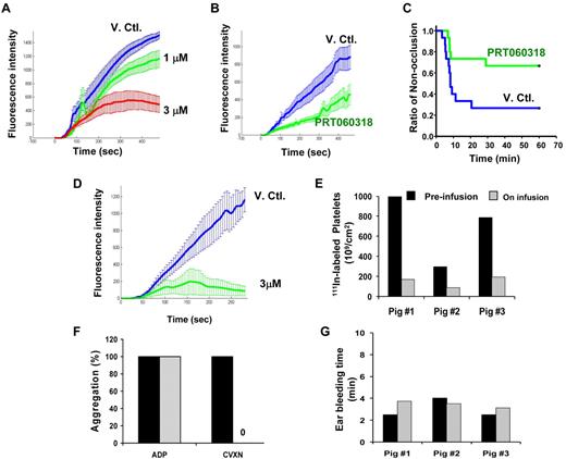 Figure 7. PRT060318 activity in rabbits and pigs. (A) In vitro (spiking experiments) mean thrombotic profiles in presence of vehicle control (V.Ctl.) or PRT060318 (1 and 3μM) in rabbits. (B) Ex vivo thrombotic profiles associated with V. Ctl. or PRT060318 infusion regimen (intravenous infusion regimen was initiated before vascular injury and established as follows: from 0 to 15 minutes, 20.67 mg/kg/h at 12.4 mL/kg/h and then from 15 minutes until the end, 7.33 mg/kg/h at 4.4 mL/kg/h). (C) Occlusion rate in vivo in the rabbit thrombosis model. P = .021 by Gehan–Breslow survival analysis with Bonferroni comparison. (D) In vitro mean thrombotic profiles of whole blood from 4 pigs treated with DMSO (blue curve) or 3μM PRT060318. Intravenous infusion of PRT060318 (8.90 mg/kg/h at 1 mL/kg/h) in pigs inhibited 111In-labeled platelet deposition in vivo in the pig thrombosis model (E), abolished ex vivo platelet aggregation induced by CVXN (250 ng/mL) but not ADP (20μM; F), and did not affect the ear bleeding time (G).