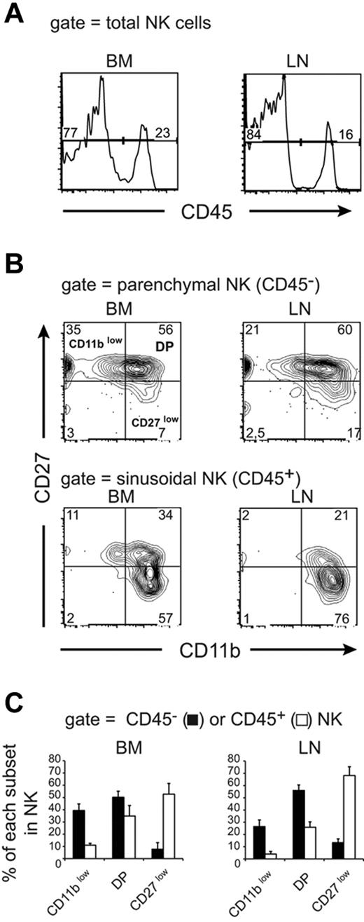 Figure 1. Phenotypic analysis of parenchymal and sinusoidal NK cells. Flow cytometric analysis of BM and LN NK cells isolated from WT mice injected with anti-CD45 and then stained in vitro with Abs for CD3, NK1.1, CD27, and CD11b. Numbers above bracketed lines or in quadrants indicate the percentage of cells in each area. (A) CD45 labeling of gated NK cells (NK1.1+ CD3−). (B-C) Analysis of CD45 staining in NK-cell subsets defined by CD27 and CD11b expression. (B) Representative FACS plot of CD27/CD11b expression in gated CD45− (top panels) and CD45+ (bottom panels) NK cells. (C) Mean ± SD percentage of CD45− (parenchymal, black bars) and CD45+ (sinusoidal, white bars) cells among CD11blow, DP, and CD27low NK cells calculated from the analysis of 10 mice.