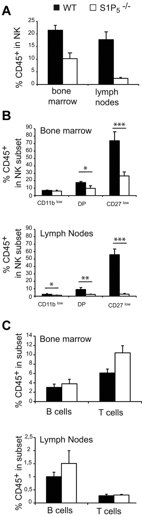 Figure 2. S1P5 is required for NK-cell trafficking to BM and LN sinusoids. Flow cytometry analysis of BM and LN NK cells isolated from WT and S1P5−/− mice injected with anti-CD45 and then stained in vitro with Abs for CD19, CD3, NK1.1, CD27, and CD11b. The percentage of CD45+ cells among gated NK cells (A), NK-cell subsets (B), or B and T cells (C) was measured in WT (black bars) and S1P5−/− mice (white bars). Data show the mean ± SD of 5-10 mice in each group.