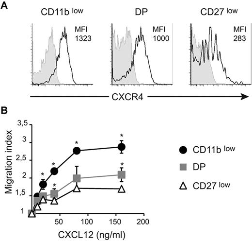 Figure 3. CXCR4 surface level and responsiveness to CXCL12 decrease during NK-cell maturation. (A) BM cells were stained for NK1.1, CD3, CD27, CD11b, and CXCR4 or isotype control. Expression of CXCR4 (black line) or isotype (gray histogram) by gated NK-cell subsets is shown, as indicated. Numbers above histograms indicate mean fluorescence intensity (MFI) of CXCR4 staining minus MFI of isotype control. Data show representative results of 3 independent experiments. (B) Transwell assay of the migration of NK-cell subsets assessing movement toward different concentrations of CXCL12, as indicated. The migration index is calculated as the ratio between the number of cells migrating in the chemokine and in the control (without chemokine) condition. Data are the mean ± SD of 3 independent experiments with duplicates.