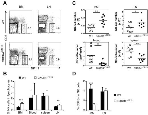 Figure 5. NK cells accumulate in the BM and LNs of Cxcr4+/1013 mice. Flow cytometric analysis of NK cells in the blood, spleen, LNs, and BM from WT and Cxcr4+/1013 mice stained for CD3 and NK1.1 expression. (A) Representative dot plots of CD3/NK1.1 expression. (B-C) Mean frequency (B) and number of gated NK cells (C; NK1.1+ CD3−) in the different organs. (D) Flow cytometric analysis of NK cells in the BM and LNs from WT and Cxcr4+/1013 mice injected with anti-CD45 mAb and then stained in vitro with Abs for CD3 and NK1.1. The percentage of CD45+ cells among gated NK cells was measured. Results represent the means ± SD of 7-8 mice in each group (B) with 1 dot-plot representing 1 mouse (A), all analyzed littermates (C, lines indicate the mean and each symbol represents an individual mouse), or are from 4 independent experiments (D).