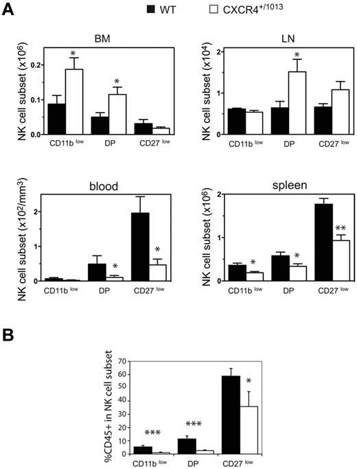 Figure 6. NK-cell subsets accumulate in the BM parenchyma area of Cxcr4+/1013 mice. (A-B) Flow cytometric analysis of NK-cell subsets in the blood, spleen, LNs, and BM from WT and Cxcr4+/1013 mice stained for CD3, NK1.1, CD11b, and CD27. (A) Number of gated NK cells of each subset in the different organs. (B) WT and Cxcr4+/1013 mice were injected with anti-CD45 and then stained in vitro for CD3, NK1.1, CD11b, and CD27. The percentage of CD45+ cells among gated NK cells of each subset was assessed in the BM from WT (black bars) and Cxcr4+/1013 mice (white bars). Results represent the means ± SD of 4-5 mice in each group.