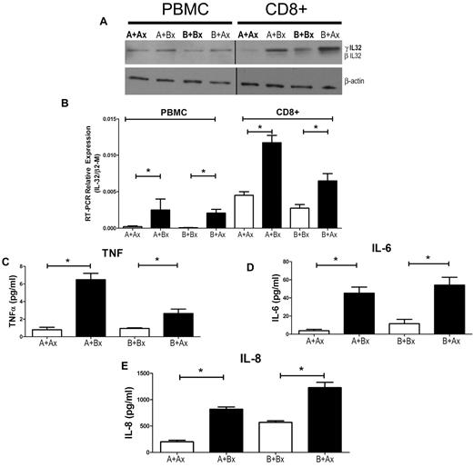 Figure 1. Mixed leukocyte culture (MLC) and IL-32 expression. (A) PBMCs were cultured for 7 days, and Western blots were generated from either unsorted or sorted CD8+ responder cells; 1 blot is representative of 3 similar experiments. (B) IL-32 mRNA levels in allogeneic MLCs. Error bars represent mean ± SEM of 3 similar experiments. Cytokines from MLC supernatants were determined by ELISA, including TNF-α (C), IL-6 (D), and IL-8 (E). Solid columns represent results in allogeneic cultures, open columns represent results in autologous controls. The results are displayed as ± SEM from 3 similar experiments (*P < .01; Student t test).