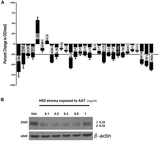 Figure 2. Effect of IL-32 specific siRNA and AAT on expression of inflammatory mediators. (A) Change in cytokine expression in PBMCs transfected with IL-32–specific or scrambled siRNA (control). Cytokine expression was assayed using profiler cytokine array (R&D Systems). Cytokine concentrations from siRNA transfected PBMC supernatants are expressed as percent change in comparison to control supernatants. Shown are changes (mean ± SEM) in 29 cytokines. The horizontal line indicates a decrease of 25% in comparison to controls transfected with scrambled sequence. Levels were determined after 72 hours of culture. The membrane contained probes for C5a, ICAM-1, IL-4, IL-13, IL-32α, MIP-1β, CD40 ligand, IFN-γ, IL-5, IL-16, IP-10, RANTES, G-CSF, IL-1α, IL-6, IL-17, I-TAC, SDF-1, GM-CSF, IL-1β, IL-8, IL-17E, MCP-1, Serpin-E1, GROα, IL-1ra, IL-10, IL-23, MIF, TNFα, I-309, IL-2, IL-12p70, IL-27 MIP-1α, and TREM-1. (B) Western blot of protein extract of the human stroma cell line HS5 exposed to vehicle only (veh) or various concentrations of AAT (in serum-free medium). Shown are levels of IL-32 β and γ isoforms at concentrations of ATT between 0.1 and 1 mg/mL. This blot is representative of 3 similar experiments.