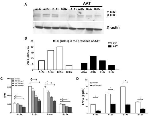 Figure 3. Inhibition of proliferation and TNFα secretion in MLCs by AAT. (A) Western blot of IL-32β and γ levels in CD8+ cells from 7-day MLCs under control conditions and in the presence of AAT (0.3 mg/mL). IL-32 β and γ isoforms in the presence of AAT. The Western blot is representative of 3 similar experiments. (B) Expression changes in IL-32 protein levels in allogeneic MLCs and autologous controls as determined by densitometry (OD) of the same biologic experiment. Open columns reflect results in the absence of AAT; solid columns in the presence of AAT. (C) Proliferation in MLCs (as measured by 3H thymidine uptake; CPM, mean ± SEM). (D) TNF-α ELISA. Secretion of TNF α in the presence and absence of AAT (*P < .05; Student t test).