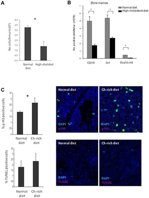 Figure 2. A high-cholesterol diet is associated with decreased total BM-cell counts. (A) Hypercholesterolemic mice present reduced cell numbers per femur (×107). (B) Flow cytometric analysis with Gr-1 (neutrophils), Sca1/c-Kit (progenitors), and CD19 (B lymphocytes) cell-surface markers shows reduced numbers per femur (×106) of all cell lineages tested. (C) Hypercholesterolemia induces cell proliferation (p-H3 immunostaining, top) without altering cell apoptosis (TUNEL assay, bottom; *P < .05). These experiments were performed 3 times with groups of 6 mice/experimental condition with consistent results. Ch indicates cholesterol.