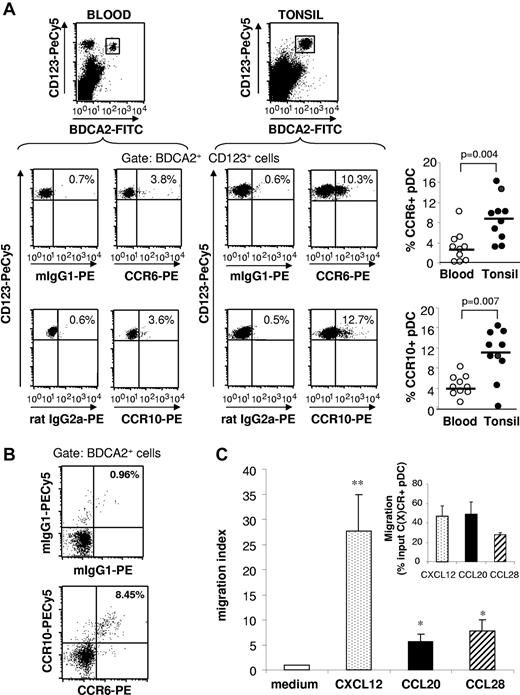 Figure 1. A subset of tonsil pDCs express functional CCR6 and CCR10. (A) CCR6 and CCR10 expression was analyzed by flow cytometry on pDCs from healthy blood and tonsil mononuclear cells. Representative staining (left) and the percentages of CCR6+ and CCR10+ cells among CD123+ BDCA2+ pDCs in blood and tonsil are shown (right). Each point represents an independent donor (n = 10); and horizontal bars, group medians. The P value was obtained by a nonparametric Wilcoxon test. (B) Percentages of CCR6+ CCR10+ cells among BDCA2+ pDCs from tonsil mononuclear cells are indicated, and data are representative of 3 independent experiments. (C) pDCs were enriched from tonsils by eliminating CD2+ cells. Chemotactic activity of tonsil pDCs among enriched cells toward CXCL12, CCL20, and CCL28 was analyzed. Results are expressed as migration index or percentage input according to the number of C(X)CR-expressing pDCs of the input population (inset). **P < .01 (Wilcoxon test). *P < .05 (Wilcoxon test).