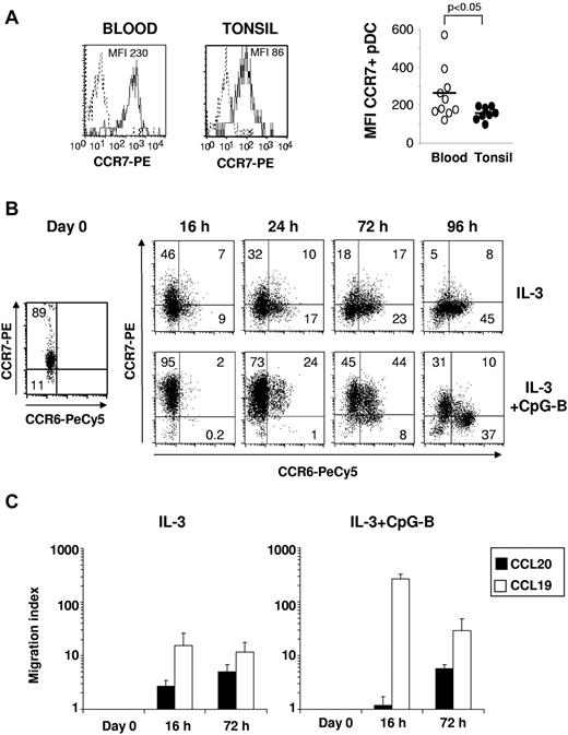 Figure 5. CCR7 expression and responsiveness to CCL19 are acquired before CCR6 expression and responsiveness to CCL20 on cultured blood pDCs. (A) Representative staining (left) and the percentages of CCR7+ cells (right) among CD123+ BDCA2+ pDCs in blood and tonsil are shown. Each point represents an independent donor (n = 8-10); and horizontal bars, means. The P value was obtained by a nonparametric Wilcoxon test. (B) CCR7 and CCR6 expression and (C) migratory capacities to CCL19 and CCL20 (1 μg/mL) were measured on freshly isolated, IL-3, and IL-3 + CpG-B-treated blood pDCs at various times after culture by flow cytometry and transwell assay, respectively. Percentages of positive cells are indicated in each dot plot (data are representative of 3 independent experiments), and pDC migration is shown as migration index (mean ± SD for 6 independent experiments).