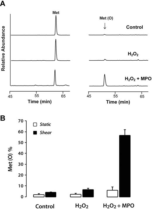 Figure 2. Shear stress greatly enhances oxidation of M1606 at the ADAMTS13 cleavage site in plasma VWF. Plasma VWF (0.75 μg/mL) was incubated with buffer alone, 50μM H2O2, or 50μM H2O2 and 25nM MPO at 37°C for 1 hour under either shear or static conditions. Reactions were quenched by adding excess L-methionine. The treated proteins were digested with trypsin, and the resultant tryptic peptides were analyzed by LC-MS/MS. (A) Selected reaction monitoring of the M1606-containing peptide (EQAPNLVYM1606VTGNPASDEIK), MS2 of m/z 1088.5 → 1424.6 (left) and the corresponding oxidized peptide (EQAPNLVYM1606(O)VTGNPASDEIK), MS2 of m/z 1096.5 → 1440.6 (right). (B) Oxidation of M1606 after treatment under the indicated conditions. The percentage of methionine converted to the sulfoxide was determined by dividing the area of the Met(O) peak by the sum of the areas of the peaks for Met(O) and unoxidized Met. The results represent the means ± SD of 3 experiments.