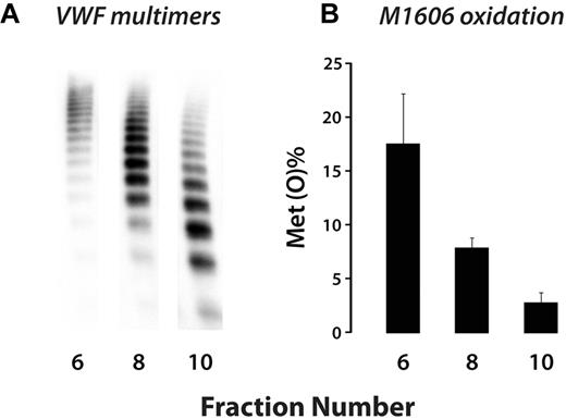 Figure 3. HOCl preferentially oxidizes M1606 in larger VWF multimers. Plasma VWF (5 μg/mL) was oxidized under shear stress as in Figure 2. Oxidized VWF in the reaction mixture was separated on a size-exclusion column into fractions containing predominantly high- (6), medium- (8), and low- (10) molecular-weight VWF multimers. (A) VWF multimer gel of the 3 fractions. (B) Percent oxidation of M1606 in the different fractions. Results represent the means ± SD of 2 experiments, with duplicate LC–MS/MS analyses.