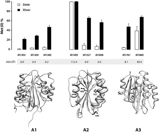Figure 4. Shear stress facilitates oxidation of methionine residues buried in the VWF A domains. Plasma VWF was incubated with 50μM H2O2 and 25nM MPO under either shear or static conditions. The percentage of methionine converted to the sulfoxide Met(O) was analyzed by LC-MS/MS. The results represent the means ± SD of at least 3 experiments. ASA of the methionine side chain was analyzed on 3D structures of each domain. In the ribbon structures of the A domains, methionine side chains are depicted in ball-and-stick form. In the absence of shear stress, little oxidation was detected at the completely buried methionine residues (A1: M1303, M1304, and M1385; A2: M1521 and M1606; A3: M1761). Their oxidation was greatly increased under shear, indicating that the 3 VWF A domains change their conformations under shear, exposing the buried methionines and facilitating their oxidation.
