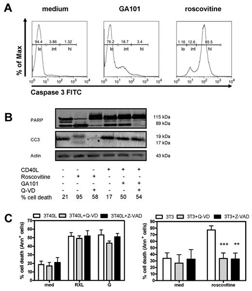 Figure 2. GA101 induces nonapoptotic cell death in CD40-stimulated CLL cells. (A) Representative FACS plots of intracellular active caspase-3 staining of CD40-stimulated CLL cells incubated with GA101 for 24 hours. As a positive control, unstimulated CLL cells incubated with roscovitine are shown. Indicated are low (lo), intermediately (int), and highly (hi) caspase-3 positive cells. (B) Western blot for cleaved PARP and active caspase-3 of cell lysates from CD40-stimulated CLL cells incubated with GA101 for 24 hours. As a positive control, unstimulated CLL cells treated with roscovitine are shown. Cleaved caspase 3 (CC3; 19 and 17 kDa) and caspase-3–induced cleavage fragment of PARP-1 of 89 kDa in the presence or absence of 20μM of Q-VD are shown. Percentage cell death as assessed with MitoTracker is indicated. Results are representative of 4 experiments. (C) RXL- and GA101-induced cell death in CD40-stimulated CLL cells was not blocked by 100μM Z-VAD or 20μM Q-VD (left). Right: roscovitine-induced cell death in unstimulated CLL cells was blocked by Z-VAD or Q-VD (positive control). Data are presented as percentage specific cell death (mean ± SEM from 4 independent experiments). **.001 < P < .01 and ***P < .001 significant difference from controls (3T3).