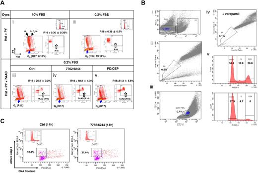 Figure 7. Chk1/MEK1/2 inhibitor regimens induce cell death in G0 MM cells characterized by the Hst+/PY− phenotype. (A) RPMI8226 cells were incubated in 0.2% or 10% FBS medium for 72 hours, after which time flow cytometry was performed to assess G0 populations by double staining DNA with Hst and RNA with PY. The G0 population (2N DNA/low levels of RNA, Hst+/PY−) was discriminated from the G1 population (2N DNA/high levels of RNA, Hst+/PY+), whereas the S and G2/M populations displayed > 2N DNA. G0 cells (R17) were gated-in for further analysis. Compared with those cultured in 10% FBS (i), flow cytometric profiles indicate enrichment of G0 population in cells cultured in 0.2% FBS (ii). In parallel, PI staining and flow cytometry were performed to monitor cell-cycle distribution (inset). Values indicate the percentage of cells in each phase. G0/G1–enriched 8226 cells were then exposed to MEK1/2 inhibitors (1.5μM AZD6244 or 1.5μM PD184352) for 24 hours, followed by Chk1 inhibitors (400nM AZD7762 or 500nM CEP3891) for an additional 12 hours. Flow cytometric analysis was performed to assess cell death (7-AAD positivity, R16) in the G0 (Hst+/PY−, R17 gate-in) population (iii-v). To ensure specificity of this assay, control experiments were performed in parallel, including negative controls (without fluorescent dye), individual staining with each dye, and double staining with each pair of dyes. Results are representative of 3 separate sets of experiments. (B) H929 cells cultured in 10% FBS medium reached a density of 1 × 106 cells/mL, after which time viable SSP cells were sorted by exclusion of Hst staining of MM cells, as described in supplemental Methods. In brief, cells were incubated with Hst and then stained with PI. For flow cytometric analysis, after gating out PI+ dead cells (i), gates were set for both the SP (ii) and low FSC (small size) population (iii). In parallel, cells were coincubated with 50μM verapamil (iv), which blocks Hst efflux, as a control. The cell-cycle profile was determined by PI staining immediately after sorting (v top, unsorted cells; v bottom, sorted SSP cells). (C) Sorted SSP cells in 5% FBS medium were then treated with the AZD6244/AZD7762 regimen for 14 hours and stained with activated caspase-3 plus PI to determine the percentage of apoptotic cells within the G0/G1 population. Two additional experiments yield roughly identical results.