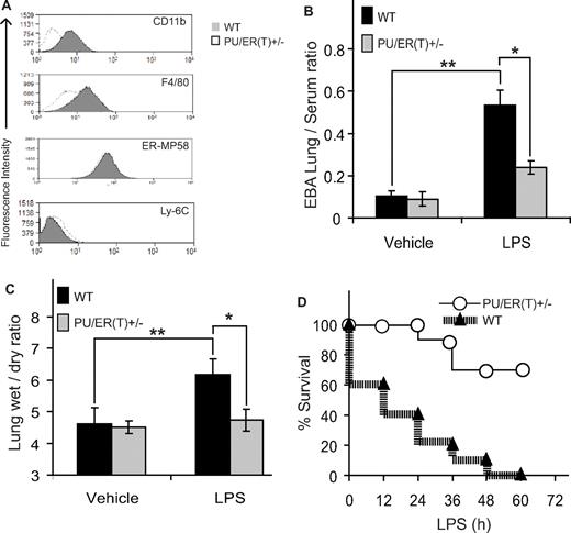 Figure 3. Immunophenotype of PU/ER(T)+/− heterozygote mice. (A) BMDMs from heterozygote PU/ER(T)+/− and WT mice were subjected to flow cytometry analysis for the presence of CD 11b, F4/80, ER-MP58, and Ly-6C antigens. (B) EBA (2%) was injected retro-orbitally in to anesthetized PBS and LPS-treated WT and PU/ER(T)+/− mice. After 30 minutes, mice were euthanized, and lung vascular permeability was determined by quantifying EBA extravasation and (C) left lung wet/dry weight ratio. Data represent mean ± SEM of 4 individual measurements (*P < .01 compared with WT LPS treatment, **P < .001 compared with PBS-injected controls). (D) Survival of PU/ER(T)+/− and WT mice after intraperitoneal injection of LPS (40 mg/kg) was monitored at regular time intervals up to 72 hours (n = 10).