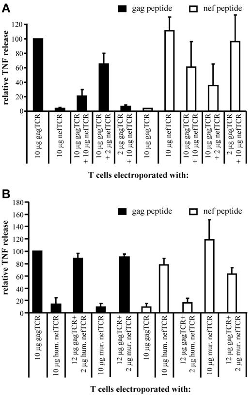 Figure 1. Simultaneous transfection of two human TCRs, but not of one human TCR combined with one murinized TCR, leads to a competitive effect that impairs their function. (A) CD8+ T cells were transfected with the α and β chains of the human gagTCR, the human nefTCR, or a combination of the human gagTCR and the human nefTCR by RNA electroporation (RNA quantities as indicated), or (B) T cells were electroporated with 10 μg of TCR RNA encoding the gagTCR, the human (hum) nefTCR, or the murinized (mur) nefTCR, or 2 μg of the human or the murinized nefTCR combined with 12 μg of the gagTCR. These T cells were used as effector cells in a cytokine-production assay 2-4 hours after electroporation. The transfection volume was equalized in all transfections with water. EBV-transformed B cells, either loaded with the gag peptide (solid bars) or with the nef peptide (open bars), were used as stimulator cells at a ratio of 1:1 to the effector cells. TNF secretion into the supernatant was measured with a cytometric bead array after overnight incubation. Cytokine production by CD8+ T cells transfected with 10 μg of the human gagTCR and stimulated with the gag peptide (mean value TNF secretion 15.6 ng/mL) was set to 100%, and other values were normalized to that. Average values of 3 independent standardized experiments ± SEM are shown.