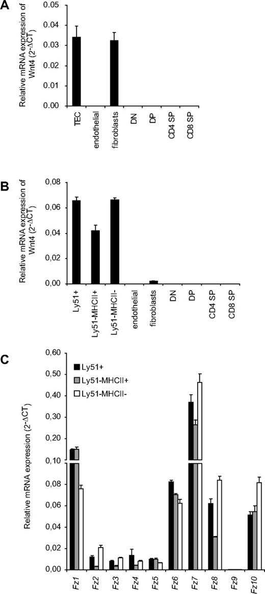 Figure 1. Wnt4 is predominantly expressed byTECs. Relative mRNA expression for Wnt4 in total TECs (CD45−EpCAM+), cTECs (Ly51+), immature mTECs (Ly51−MHCII−), mature mTECs (Ly51−MHCII+), endothelial cells (CD45−CD31+), fibroblasts (CD45−EpCAM−Ly51+), and in T-cell subsets (DN, DP, CD4 SP, and CD8 SP) of E18.5 (A) and 4-week-old adult (B) mice, expressed as mean 2−ΔCT standardized to the endogenous control GAPDH. (C) Relative mRNA expression of Fz receptors in adult TEC subsets is expressed as mean 2−ΔCT standardized to the endogenous control GAPDH. Histogram represents mean ± SEM of 3 mice.