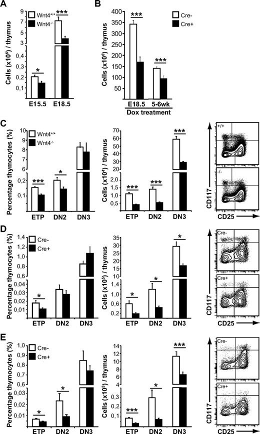 Figure 2. Wnt4 is needed for steady-state postnatal thymopoiesis. (A) Thymic cellularity from E15.5 and E18.5 Wnt4+/+ and Wnt4−/− mice. (B) Thymic cellularity from mice in which Wnt4 deletion has been induced (Cre+) on E18.5 or in the adult, compared with Cre− littermate controls. (C-E) FACS analysis of lineage-negative thymocytes from E18.5 Wnt4+/+ and Wnt4−/− mice (C), mice in which Wnt4 has been deleted at birth (D), and mice in which Wnt4 has been deleted in adulthood (E). The graphs on the left show the proportion of ETP (Lin−cKithiCD25−), DN2 (Lin−cKithiCD25+), and DN3 (Lin−cKit−/loCD25+) subsets expressed as percentage of total thymocytes. The graphs in the middle show the absolute numbers of cells within each subset per thymus. Representative flow cytometry data are shown on the right. All histograms represent the mean ± SEM (n = 6-7/group; *P < .05, **P < .01, ***P < .005).