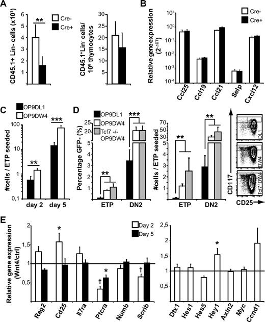 Figure 3. Wnt4 has a direct effect on ETP and DN2 expansion. (A) Analysis of homing to the Wnt4-deficient and -sufficient adult thymus. The number and relative contribution of donor-derived (CD45.1+) Lin− cells was determined 36 hours after injection. The histograms represent mean ± SEM from 7 mice per group. (B) Expression of chemokines and P-selectin in the Wnt4-deficient and -sufficient adult thymus. The histograms represent mean ± SEM from 4 to 5 mice per group. (C) Analysis of T-cell development in culture in the presence of GFP+ OP9-DW4 or OP9-DL1 stromal cells. GFP− cells were analyzed by flow cytometry at indicated times and are expressed as number of cells/ETP seeded on day 0. The histogram represents mean ± SEM from a total of 8 replicates from 3 independent experiments. (D) Analysis of T-cell differentiation as defined by cKit and CD25 staining on day 5. The histogram on the left represents ETP and DN2 frequencies among GFP− cells. The histogram in the middle represents the number of cells with ETP and DN2 phenotype on d5 per ETP seeded (mean ± SEM; n = 8 for wild type, n = 5 for Tcf7−/−). Representative flow cytometry data gated on GFP− cells are shown on the right. (E) Expression of selected genes associated with DN2-DN3 progression and early T-cell development. Histogram represents the relative mRNA levels from sorted GFP− lymphocytes after 2 or 5 days of coculture (ratio OP9-DW4/OP9-DL1 from paired experiments; mean ± SEM; n = 3; *P < .05, **P < .01, ***P < .005).