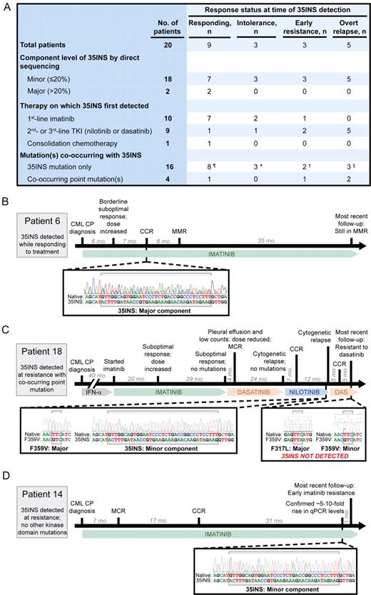Figure 2. Detection of the BCR-ABL35INS mutation in clinical samples does not consistently track with resistance to ABL TKI therapy. Retrospective analysis of the detection of the BCR-ABL35INS mutation by direct sequencing was performed in the chronologic context of the treatment and response for 20 CML patients at our institution. (A) Summary of patient response status at the time of BCR-ABL35INS detection. Response status was categorized as follows: responding (improvement or maintenance of previous cytogenetic and molecular response level), intolerant (persistent grade 3 or higher toxicity leading to subsequent change of therapy), early resistance (confirmed increase in BCR-ABL transcripts and/or detection of a BCR-ABL point mutation without loss of level of cytogenetic response), or overt relapse (loss of previous cytogenetic response level). For comparison purposes, the approximate component level of the BCR-ABL35INS mutation by direct sequencing was designated as minor (≤ 20% of total electropherogram signal) or major (> 20%). Although not strictly quantitative, this illustrates that the majority of patients with evidence of BCR-ABL35INS by direct sequencing harbored the mutation at low levels that approached the sensitivity limits of this assay.14 Sequencing primers used by the OHSU Knight Diagnostic Laboratories have been described previously10; primers used by MolecularMD remain proprietary. ¶An additional intron 4 insertion was detected along with 35INS in patient 7; both represented a minor component of the total signal. *Patient 11 subsequently relapsed while undergoing therapy with dasatinib, with a predominant co-occurring T315I point mutation, whereas 35INS was detected intermittently and always as a minor component. †In patient 13, 35INS was detected intermittently as a minor component while the patient was taking dasatinib but notably was not detected at the time of subsequent cytogenetic relapse. §35INS was detected as a minor component in patient 16 during interruption of dasatinib treatment because of pregnancy; major molecular response was recaptured rapidly after treatment resumed. Representative examples are shown of timing and level of detection of the BCR-ABL35INS mutation from each of 3 observed clinical treatment/response scenarios: (B) BCR-ABL35INS was detected while the patient was responding to treatment without signs of resistance; (C) BCR-ABL35INS was detected at the time of resistance, but with a co-occurring highly predominant BCR-ABL kinase domain point mutation that satisfactorily explained resistance; and (D) BCR-ABL35INS was the only kinase domain mutation detected at the time of resistance to therapy. Notably, for all patients who showed evidence of the BCR-ABL35INS mutation at the time of resistance (ie, scenarios C or D above), this mutation was always detected as a minor component by direct sequencing. For more detailed treatment, response, and sequencing information for all patients included in this analysis, see supplemental Table 1. CP indicates chronic phase; CCR, complete cytogenetic response; MMR, major molecular response; MCR, major cytogenetic response; and qPCR, quantitative PCR.