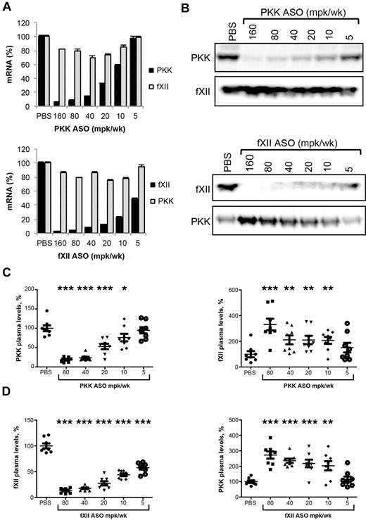 Figure 1. Effect of PKK and fXII ASO treatment on PKK and fXII hepatic mRNA and plasma protein levels. Male BALB/c mice were treated subcutaneously with PKK or fXII ASO for 3 weeks at indicated doses (n = 8 per treatment group). Two days after final dosing mice were collected for quantification of PKK and fXII hepatic mRNA levels (A) and PKK and fXII immunoblot analysis on pooled (B) and individual (C-D) samples. PKK and fXII relative plasma protein levels were quantified by densitometry. *P ≤ .05, **P ≤ .01 and ***P ≤ .001 compared with untreated control.