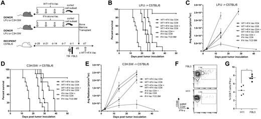 Figure 5. Enhanced antileukemia activity induced by WT1 peptide vaccination requires CD8+ T cells from WT1 peptide vaccinated donors combined with CD4+ T cells. (A) Vaccination and bone marrow transplant scheme was the same as in Figures 3A and 4A. (B and D) Survival after allogeneic LP/J→C57BL/6 (B) or C3H.SW→C57BL/6 (D) transplantation (n = 10 mice per group) with 5 × 106 T-cell depleted bone marrow cells (○) from IFA vaccinated donors or with T-cell depleted bone marrow from IFA alone vaccinated donors and combination of 6 × 106 CD4 T cells and 2 × 106 CD8 T cells from IFA alone vaccinated donors (□), 6 × 106 CD4 T cells from WT1 peptide and IFA vaccinated donors (■), 2 × 106 CD8 T cells from WT1 peptide and IFA vaccinated donors (●), or combination of 6 × 106 CD4 T cells and 2 × 106 CD8 T cells from WT1 peptide and IFA vaccinated donors (▴; ● vs ▴, B, P < .001; D, P = .002). (C-E) Bioluminescence intensity (mean ± SE) of only surviving mice at each imaging time point in B and D (● vs ▴, C, P < .001; E, P < .001 at day 28). (F) Representative flow cytometry plots show percent of gated CD8+ T cells stained positively for CD44 and intracellular IFN-γ (box) after 24-hour coculture with irradiated FBL3 tumor cells or H11 tumor cells (negative control). (G) Means are of 5 mice per group (*P < .001). PBLs from recipient C57BL/6 mice in F and G were isolated 28 days after cell transfer of 6 × 106 CD4 T cells and 2 × 106 CD8 T cells from WT1 peptide and IFA-vaccinated donors (group ▴ in Figure 5D).