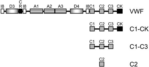 Figure 1. UniProt domain structure of mature VWF and the C-domain fragments analyzed in this study. The mature N-terminus begins with a protease inhibitor I8 domain (I8, residues 772-828), followed by a D domain (residues 856-1074), a cysteine-rich domain (CR, residues 1053-1127), another I8 domain (residues 1140-1196), 3 type A domains (residues 1275-1458, 1496-1669 and 1689-1871), another D (residues 1938-2153) and I8 (residues 2199-2255) domain, 3 type C domains (residues 2255-2328, 2429-2495 and 2580-2645), and finishes with the C-terminal knot (CK, residues 2724-2812). Fragments encompassing the C1-CK (residues 2255-2813), C1-C3 (residues 2255-2648), and C2 (residues 2429-2495) domains were expressed in mammalian HEK cells and purified from the conditioned medium. The residue numbering is that for the preproprotein.