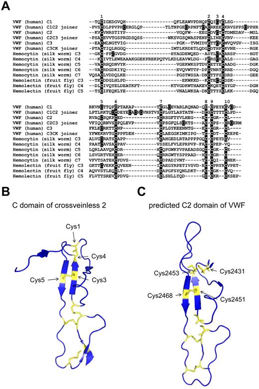 Figure 3. Analysis of the VWF C domains and joiner regions and predicted structure of the C2 domain of VWF. (A) Alignment of human VWF C domains and joining regions with C domains from hemocytin (silk worm) and hemolectin (fruit fly) using the Clustal 2.1 multiple sequence alignment tool. Insect C domains are derived and numbered as described previously.41 The 10 disulfide-forming cysteines in C domains are labeled above the alignment. (B) Ribbon structure of the C domain of crossveinless 2 (PDB ID 3BK3) showing the 5 disulfide bonds in yellow. The cysteine residues that form the Cys1-Cys4 and Cys3-Cys5 disulfide bonds are indicated. The X-ray structure has a resolution of 2.7 Å.25 (C) Predicted structure of the C2 domain of VWF. The structure was derived using the crossveinless 2 and procollagen 2A C-domain structures and the I-TASSER protein structure prediction tool.19 The C-score is −1.05. The cysteine residues are indicated in yellow. Cys2451 and Cys2468 form a disulfide bond in this structure, whereas Cys2431 and Cys2453 are unpaired.