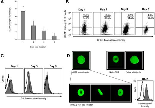 Figure 4. In vivo maturation of cRBCs in the NOD/SCID mouse model. (A) Kinetics of CD71+ cells among CFSE+ cells in mouse blood after injection of purified CFSE+ cRBCs. Results are expressed as the mean ± SEM (n = 4). (B) CD71 expression on CFSE+ cells in 1 representative experiment. Quadrant statistics are given in each dot plot. The percentage of CFSE+ cells on days 1, 2, 3, and 5 was 2.65%, 19.2%, 20.5%, and 1.2%, respectively. (C) Kinetics of LDS expression on CFSE+ cells in 1 experiment. (D) Confocal microscopy images of CFSE+ cells before (top left) and after injection into mice (bottom) compared with native RBCs (top middle) and native reticulocytes (top right). On the bottom are front, profile, and side views of cells recovered 3 days after their injection. The cell diameter before and after 3 days injection was 11 μm and 7.5 μm, respectively. Magnification ×500. On day 3, sorted CFSE+ cells were colabeled with an anti-RhD antibody (solid histogram) or its isotype control (open histogram).