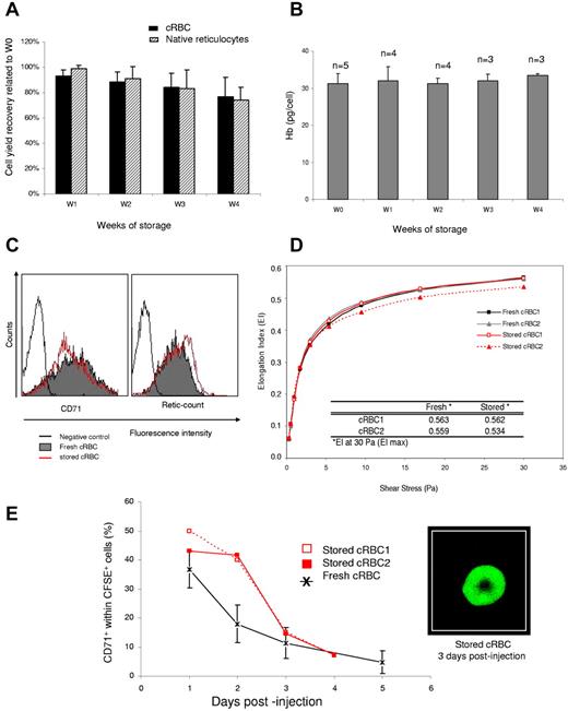 Figure 5. Long-term storage of cRBCs. Purified cRBCs and native reticulocytes were stored at 4°C for up to 4 weeks in a Sag-Mannitol–based preservative solution. (A) Comparative kinetics of cell recovery during long-term storage of cRBCs and native reticulocytes (native Ret). Mean ± SEM of 9 and 6 experiments, respectively. (B) Evolution of the hemoglobin content during storage of cRBCs. Mean ± SEM and the number of experiments is indicated on each bar. (C-D) CD71 expression, reticulocyte content (C) and deformability (D) were evaluated before (fresh cRBCs) and after 4 weeks of storage (stored cRBC). Mean of 2 experiments. (E) Comparative kinetics of CD71+ cells among CFSE+ cells in mouse blood after injection of fresh (n = 4 mice) or stored (n = 2 mice) purified cRBC. Data for fresh cRBC are from Figure 4A, and the results are expressed as the mean ± SEM. Confocal microscopy image shows CFSE-labeled stored cells 3 days after injection into mice.