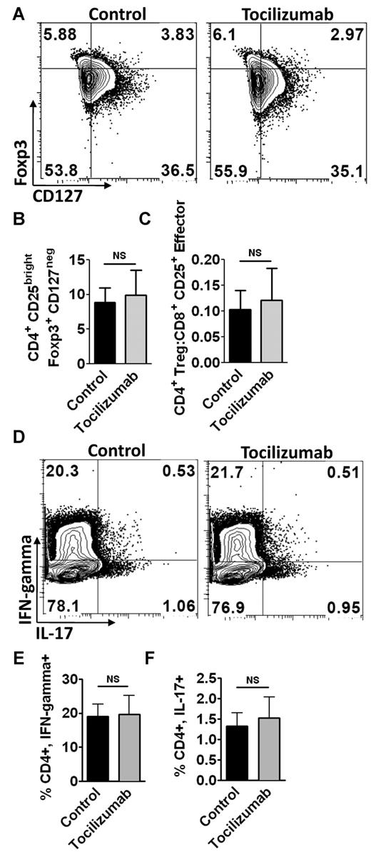 Figure 2. IL6R-α neutralization with tocilizumab does not alter the Treg/Th17 axis. (A) Representative contour plots of allogeneic Treg populations. Tregs were identified by gating on the moDC-stimulated allogeneic CD3+, CD4+, CD25bright T cells, and then assessing for expression of Foxp3 and lack of CD127. (B) Bar graph depicts the means from 4 independent experiments (paired t test), ± SD, for the percentages of Tregs in alloMLRs treated with tocilizumab or control Ig (5ug/mL). (C) Effect of IL6R α inhibition on the ratio of CD4+ Tregs to CD8+CD25+ effector T cells in alloMLRs, compared with control. Bar graph shows means from 3 independent experiments, ± SD; NS = not significant, paired t test. (D) Representative contour plots of moDC-stimulated allogeneic Th1 and Th17 cells. Th1 and Th17 cells were identified by gating on the CD3+ CD4+ population and then evaluating for intracellular IFN-γ and IL17, respectively. (E) Bar graph shows means from 3 independent experiments, ± SD (paired t test, NS = not significant), representing the percentages of CD3+, CD4+, IFN-γ+ cells in the alloMLRs treated with tocilizumab (5 ug/mL) or control. (F) Bar graph shows means from 3 independent experiments, ± SD (paired t test, NS = not significant) for the percentages of CD3+, CD4+, IL17+ cells in the alloMLRs treated with tocilizumab (5 ug/mL final) or control.